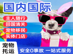 美兰机场物流国际宠物托运 【国